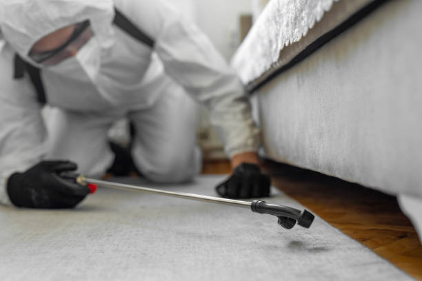 Professional Bed Bug Control technician working in New London, WI