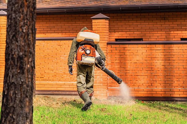 Trusted Cockroach Control service in New London, WI - Nex Pest Control